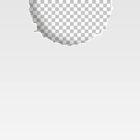 White background with transparent copyspace. Torn paper edgeのイラスト素材