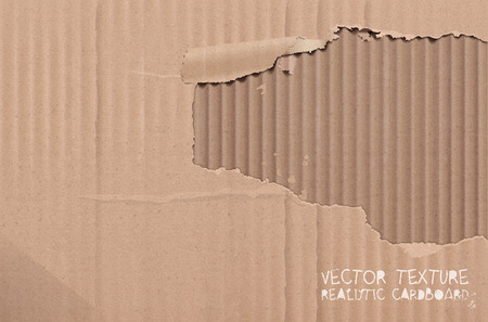 Vector cardboard texture. Realistic torn cardboard background.のイラスト素材