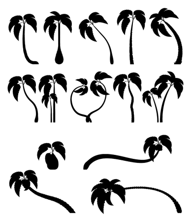 Set tropical palm trees with leaves, mature and young plants. Black silhouettes isolated on white background. Vector. Palm iconのイラスト素材