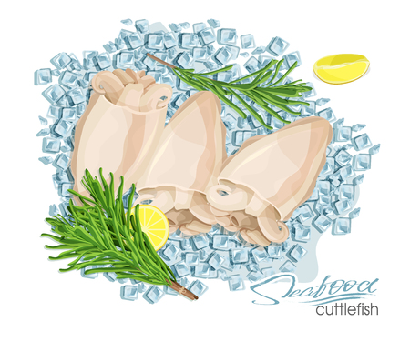 Illustration of a dish of cuttlefish with lemon and rosemary on ice cubes. Cuttlefish cooked. Icon, logo, symbol. Delicacy. Vector illustrationのイラスト素材