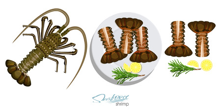 Meat spiny lobster with rosemary and lemon on the plate.Vector illustrationin cartoon style. Spiny lobster, lemon, rosemary separately on a white background. Vector illustrationのイラスト素材