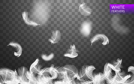 Set of isolated falling white fluffy twirled feathers on transparent background in realistic style vector illustrationのイラスト素材