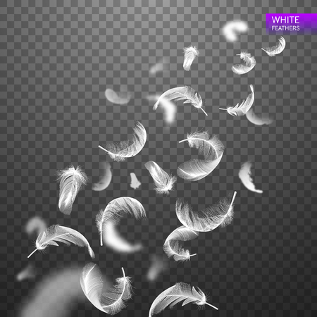 Falling spirally twirled realistic feathers isolated on a transparent background. Easy style, can be used in flyers, banners, web. Light cute feathers design. Elements for design vector illustration.のイラスト素材