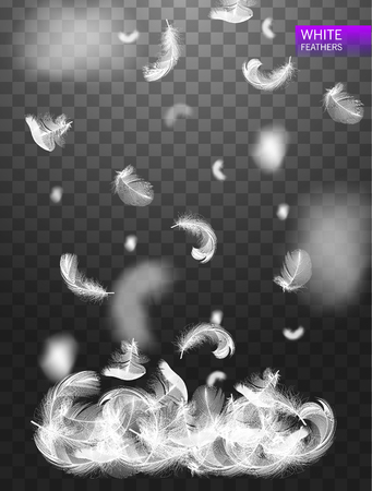 Falling twirled realistic feathers isolated on a transparent background. Easy style, can be used in flyers, banners, web. Light cute feathers design. Elements for design vector illustration.のイラスト素材