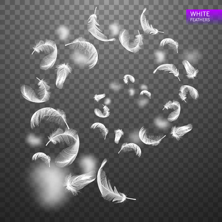 Falling twirled spiraling realistic feathers isolated on a transparent background. Light cute feathers design. Elements for design vector illustration.のイラスト素材