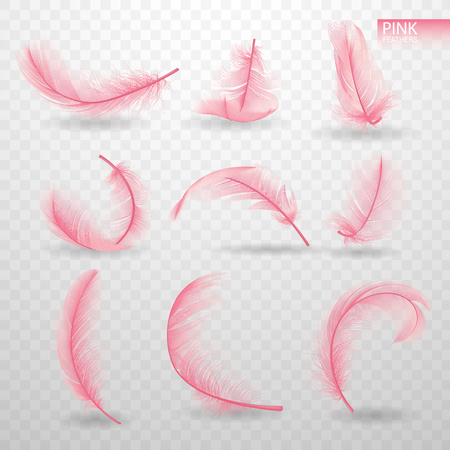 Set of isolated falling pink fluffy twirled feathers on transparent background in realistic style. Light cute feathers design. Elements for design vector illustrationのイラスト素材