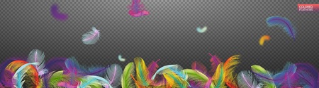Multicolored falling twirled realistic feathers isolated on a transparent background. Light cute feathers design. Elements for design vector illustration.のイラスト素材