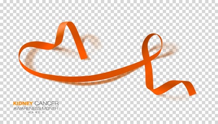 National Kidney Cancer Awareness Month. Orange Color Ribbon Isolated On Transparent Background. Vector Design Template For Poster. Illustrationのイラスト素材