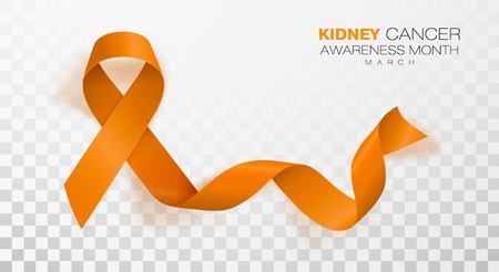 National Kidney Cancer Awareness Month. Orange Color Ribbon Isolated On Transparent Background. Vector Design Template For Poster. Illustrationのイラスト素材