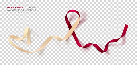 Head and Neck Cancer Awareness Month. Burgundy and Ivory Color Ribbon Isolated On Transparent Background. Vector Design Template For Poster.のイラスト素材