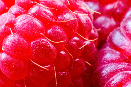 Macro of ripe red raspberry. Food background. Close-up.