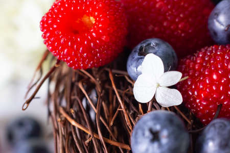 Ripe blueberries and Tibetan raspberries lie in a basket of vinesの写真素材