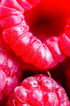 Macro of ripe red raspberry. Food background. Close-up.の写真素材