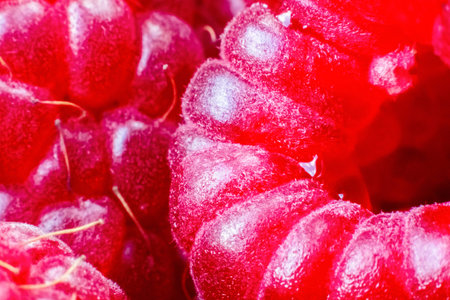 Ripe raspberries macro shot. Fruit background.Selective focus