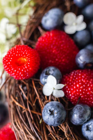 Ripe blueberries and Tibetan raspberries lie in a basket of vinesの写真素材