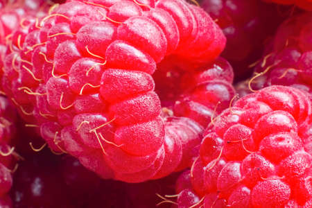 Ripe raspberries macro shot. Fruit background.Selective focusの写真素材