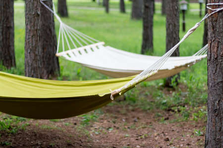 White and green hammock in garden, close-up. Empty hammock for relaxingの写真素材