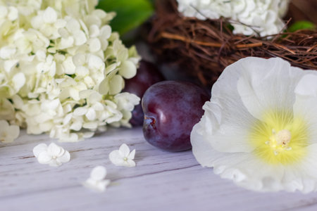 Ripe plums in a vine basket on a wooden background.