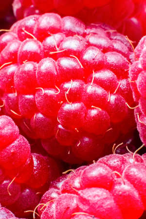Macro of ripe red raspberry. Food background. Close-up.の写真素材