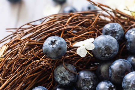 Ripe blueberries. Blueberries are in a vine basket with hydrangea flowers nearbyの写真素材
