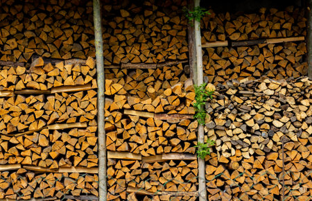Firewood stacked on top of each other. Preparing for winter. The woodpile, firewood as a background,...