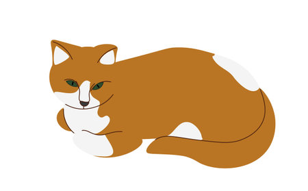 Cute red and white cat. The cat lies. vector illustration.のイラスト素材
