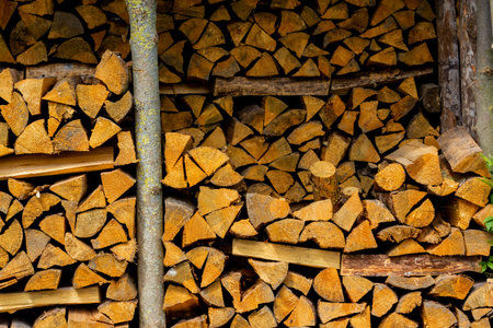 Firewood stacked on top of each other. Preparing for winter. The woodpile, firewood as a background,...