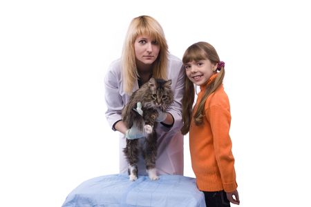 Young girl bringing cat for examination by vet. Pretty Veterinarian and feline subject.  Veterinarian have a  medical examination a cat. White background. の写真素材