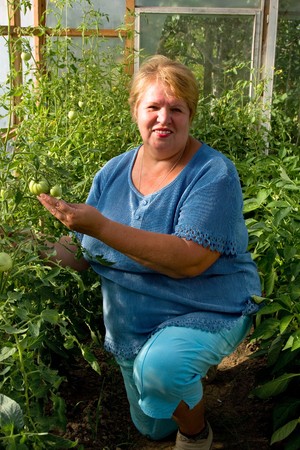 Smiling gardener in her greenhouse. Woman is working hard in a greenhouse. の写真素材