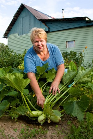 Smiling gardener in vegetable garden. Woman is working hard. Smiling gardener is showing her vegetable marrows.の写真素材