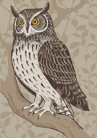 Realistic screech-owl hand drawn vector illustrationのイラスト素材