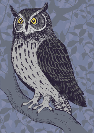 Night owl hand drawn realistic vector illustrationのイラスト素材