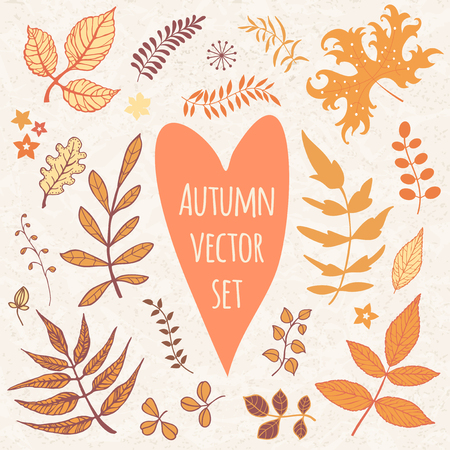 Autumnal leaves vector setのイラスト素材
