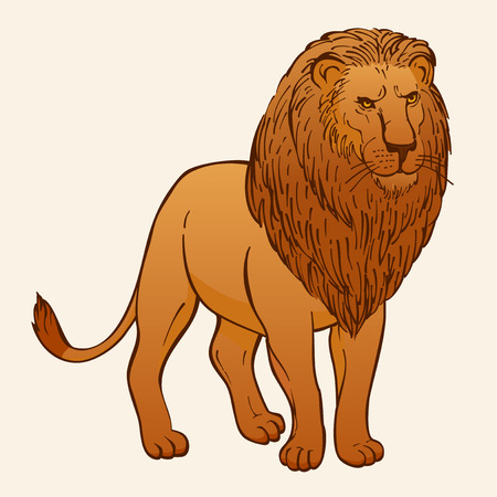 Lion hand drawing vector illustrationのイラスト素材