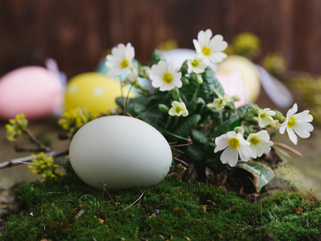 Natural Easter eggs in a mossy forest.の写真素材