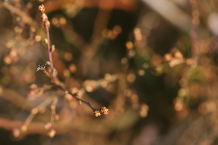 Fresh spring sunny day with natural blurred background