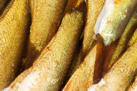 a canned fish in the olive oil
