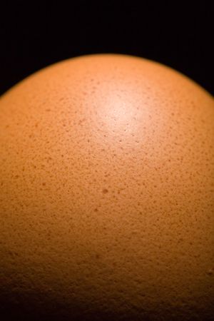 Close up of the egg surface backgroundの写真素材