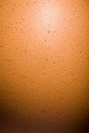 Close up of the egg surface backgroundの写真素材