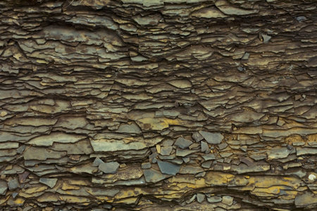 The Stone wall background. Creates a great background.