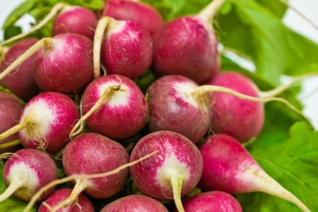 Close up view of the radish backgroundの写真素材