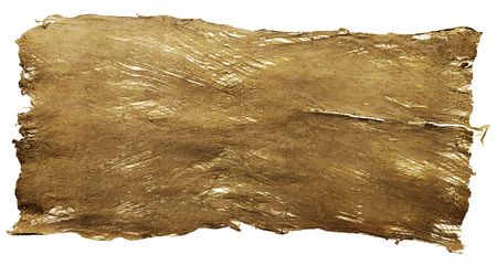 bark texture with some spots on itの写真素材