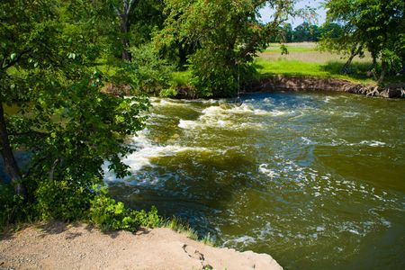 Forest clearing in beautiful countryside scene.の写真素材