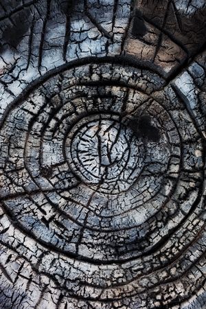 Abstract background. Close-up of burned wood.の写真素材