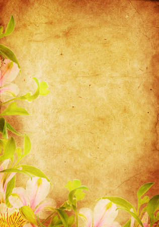 vintage flowers , Old paper backgroundの写真素材