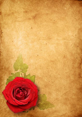 vintage rose , Old paper backgroundの写真素材