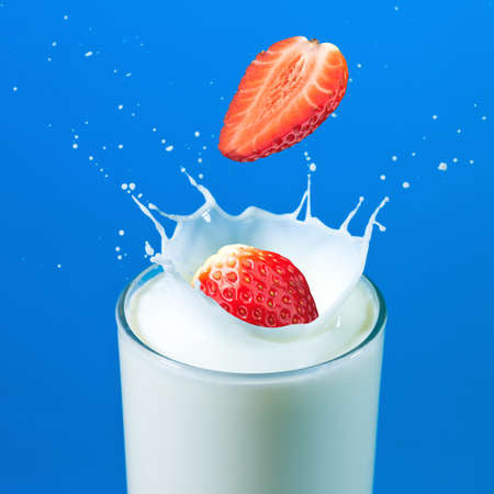 splashing strawberry into a milk glass on blueの写真素材