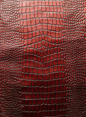 Close up view of Leather texture. の写真素材