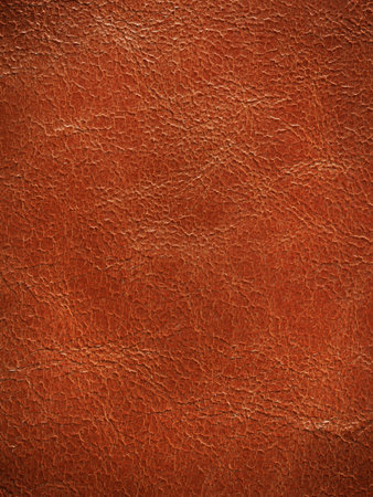 Close up view of Leather texture. の写真素材