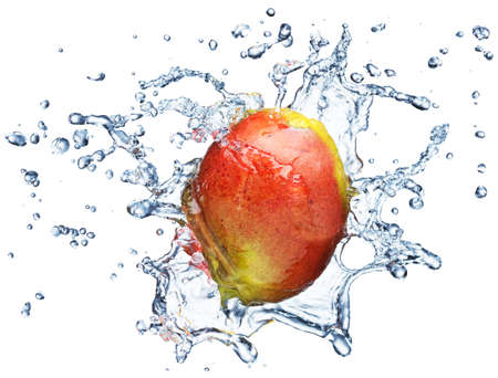 Mango in spray of water. Juicy mango with splash on white backgroundの写真素材